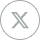 x logo